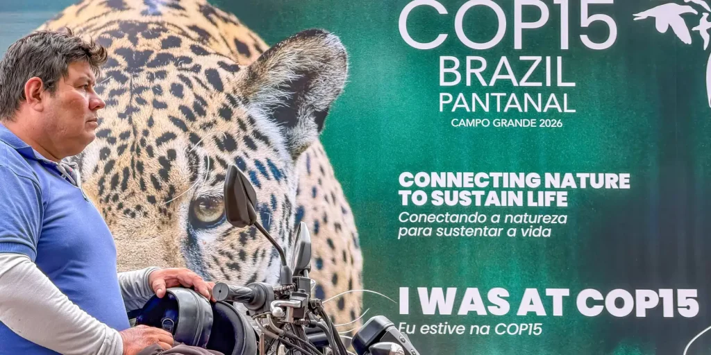 cop15-inclui-mais-40-especies-migratorias-em-lista-de-protecao