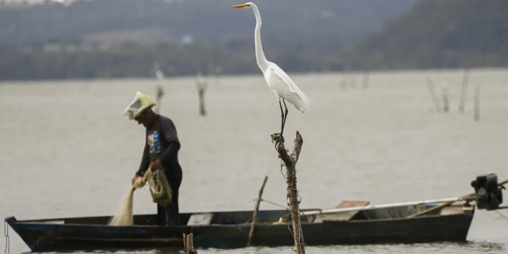 mudancas-aprovadas-para-o-seguro-defeso-previnem-fraudes,-diz-relator