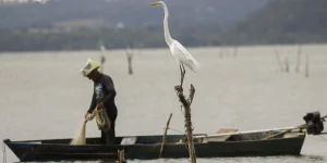 mudancas-aprovadas-para-o-seguro-defeso-previnem-fraudes,-diz-relator